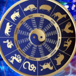 Китайски хороскоп за седмицата от 15 до 21 май 2023 г-Кучетата ще имат голям късмет тази седмица в нови начинания