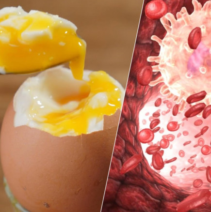 Лекари: ТОВА се случва с кръвта на хората, които ядат по 1 яйце всеки ден!