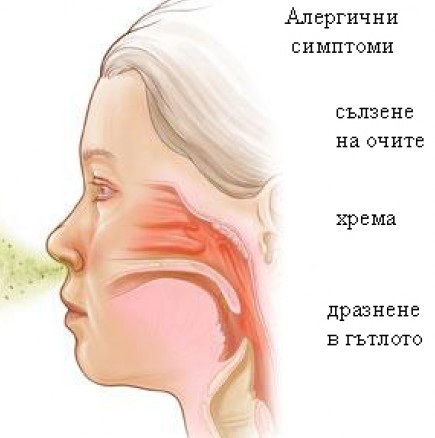 Очаквайте алергии - ето природни лекарства, за да се справим с тях