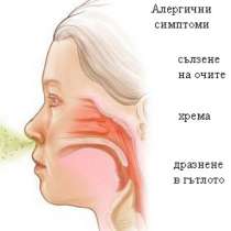 Очаквайте алергии - ето природни лекарства, за да се справим с тях