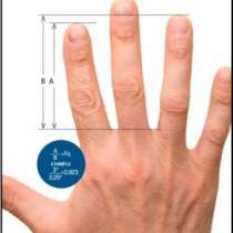 Безименният ви пръст по-дълъг ли е от показалеца? Какво говори дължината на вашите пръсти за вас