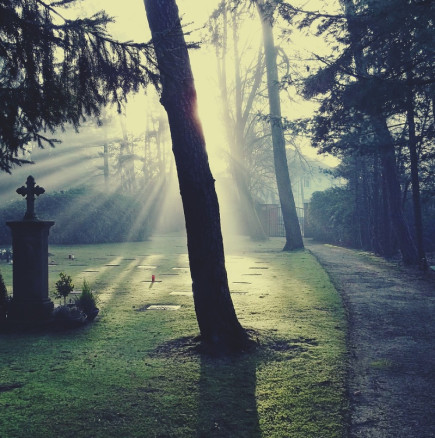 Вярно ли е, че преди смъртта целият живот преминава пред очите ви: Мнението на учените