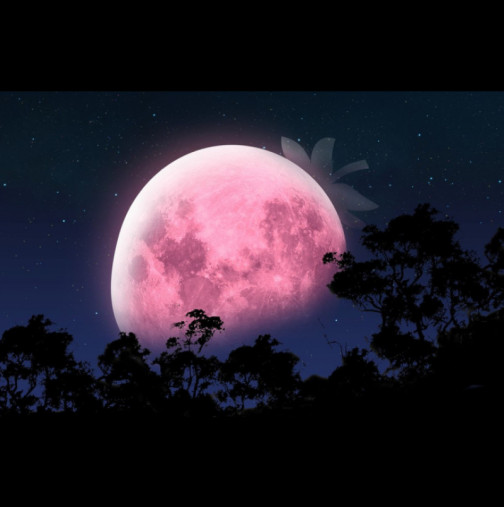ЕРОТИЧНА ЯГОДОВА Луна изпълва небето на 4 юни: Ето как Розовото пълнолуние ще промени живота ви