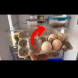 Правите ли и вие тази грешка? Ето как яйцата от хладилника убиват здравето ви: 