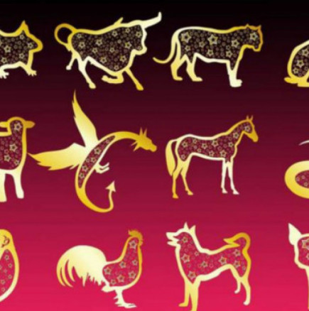 Китайски хороскоп за лятото на 2023 г-Прасетата ще могат да познаят щастието