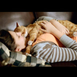 Защо котката ляга да спи до човек: 5 причини и "тъмни" поверия
