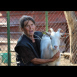 Удариха българина по най-милото: ЕС забрани домашния добитък! Глобите са колосални, тръгват инспекции: