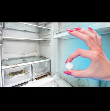 Питайте патило! Ето защо вече задължително слагам бучка захар в хладилника: