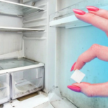 Ако има неприятна миризма в хладилника, бучка захар върши чудеса-Ето как да я използвате