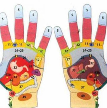 Всеки пръст е свързан с 2 органа: японски метод за самолечение за 5 минути