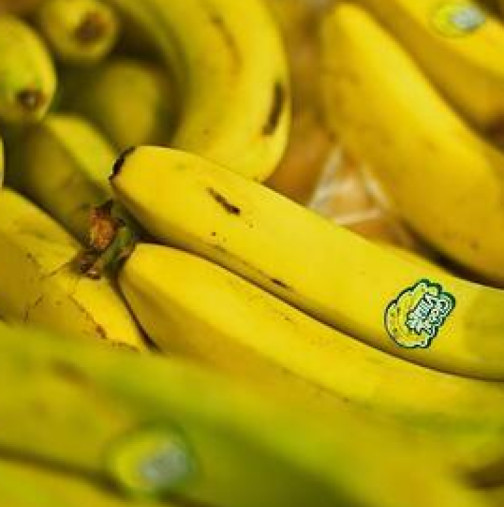 Знаете ли какво значат тези номера на на бананите и кои е добре да изберете