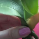 Орхидеята ви е изсъхнала – пригответе й витаминен коктейл