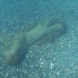Водолази откриха русалка в Черно море