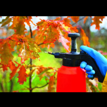 С какво и как да третирате дърветата и храстите преди ноември, за да ги предпазите от вредители