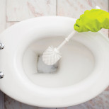 Защо домакините хвърлят дафинов лист в тоалетната и какъв е най-добрият начин за почистване на ръба и капака