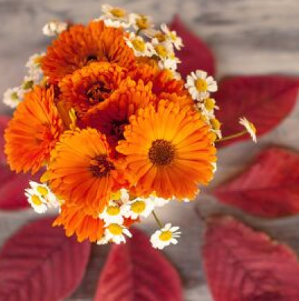 Хороскопът за утре, 4 октомври: Телец, Дева, Козирог: денят е динамичен! Близнаци, Водолей, Везни оказвате силно въздействие на околните!