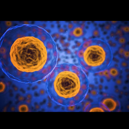 Интересно: Учени изчислиха колко тежи имунната ни система