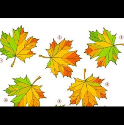 Есенен пъзел: Намерете двата еднакви есенни листа за 1 минута!