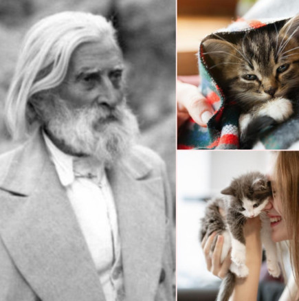 Мъдрите мисли на Петър Дънов за котките: Когато дойде котката у един дом, този дом прогресира