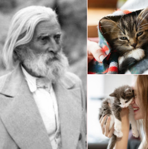 Мъдрите мисли на Петър Дънов за котките: Когато дойде котката у един дом, този дом прогресира