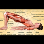 Всеки мускул работи само с 3 упражнения