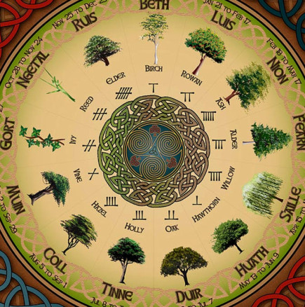 Какво ще донесе вашето растение-покровител през 2024 г. според хороскопа на друидите?