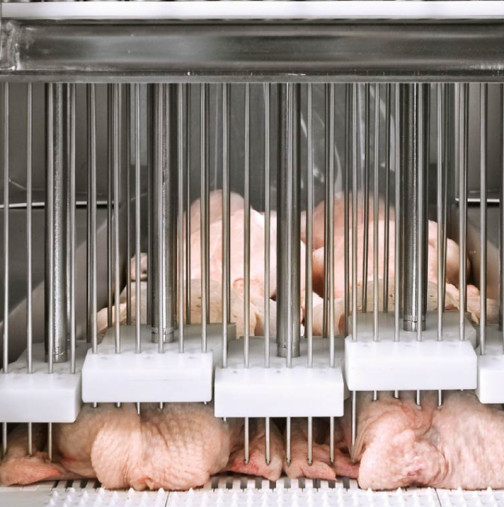 Как да „изхвърлите“ всички химикали от купеното пиле: ето какво ми разкри работник в месопреработвателно предприятие