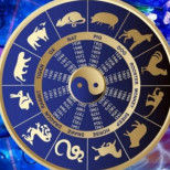 Китайски хороскоп за седмицата от 27 ноември до 3 декември 2023 г- Зайците ще имат късмет