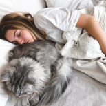 Как котките избират къде и с кого да спят