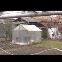 Проговори майката на момиченцето, държано в кокошарник във Врачанско:
