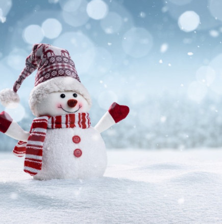 От Метео Балканс с прогноза-Ще има ли сняг за Коледа и Нова година