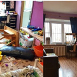 Ето как служители на почистваща фирма преобразиха апартамент-кочина за 9 часа-Снимки