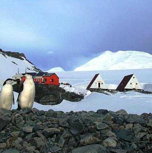 Нов успех за Антарктическата експедиция-Откриха два вида злато