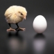 Кое е първо? Кокошката или яйцето? (Видео)