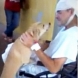 Куче чака стопанина си 7 дни пред болница! (Видео)
