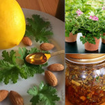 400 г мед, 20 листа индрише и 20 бадема: Запомнете тази рецепта от Петър Димков, лекува най-тежките заболявания!