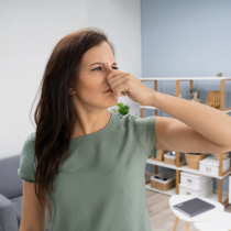 7 начина да премахнете миризмата на мухъл от вашия апартамент