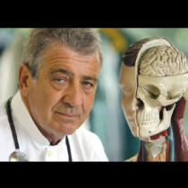 Известният италиански професор категорично: „Това е органът, който е центърът на всички болести“.