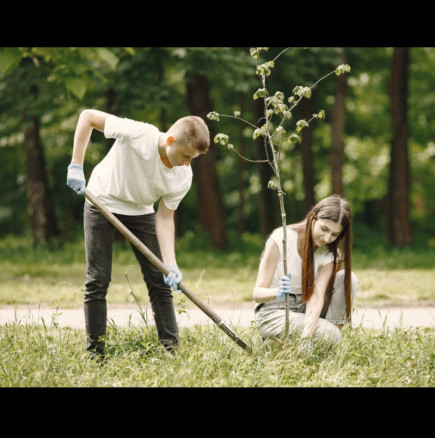 5 дървета на щастието - засадете поне едно в двора и късметът и парите ще потекат към вас!