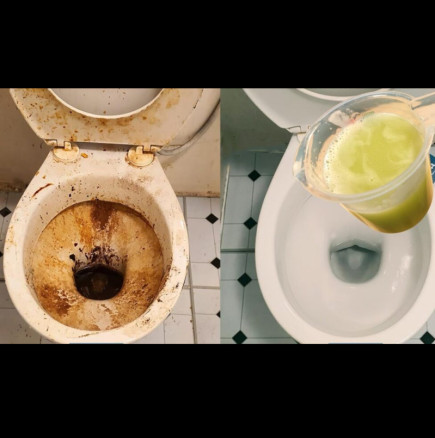 Това ще разбие варовика по-добре от чук: Страхотен домашен ТРИК за пълно почистване на тоалетната!