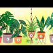 Психологически тест със стайни растения-Кое цвете избрахте?