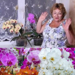 "Орхидеите обичат захар, чесън, кафе и кубчета лед!" Г-жа Олга обясни как да ги използвате: