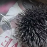 Загрижена жена заведе пискюл от шапка на лекар-Видео