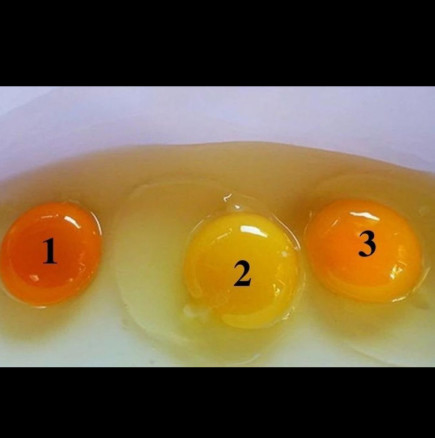 Жълтък номер 1, 2 или 3 е по-здравословен? Едва ли някой знае верния отговор!