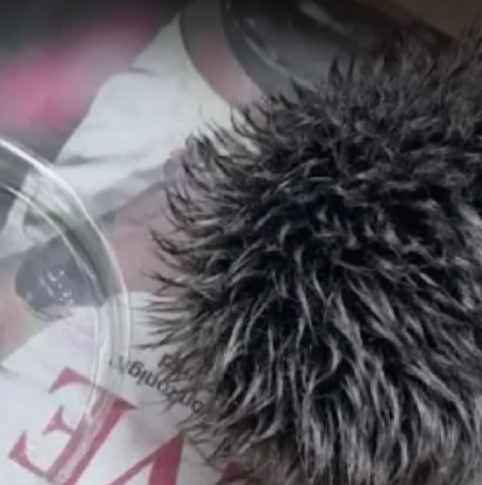 Загрижена жена заведе пискюл от шапка на лекар-Видео