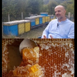 Медът НЕ СЕ яде и НЕ Е вълшебна напитка! Пчелар разкри всички истини и заблуди за пчелните продукти - ето кой е най-лечебен: