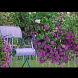 10 снимки, които ще ви вдъхновят да добавите поне малко лилав цвят към терасата си
