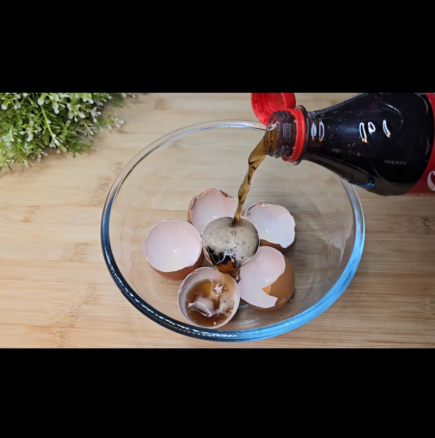 Залейте черупки от яйца с обикновена Coca-Cola и следвайте този домашен трик: Моето спасение в кухнята!