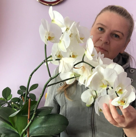3 коварни грешки, които пречат на орхидеите да цъфтят през цялата година