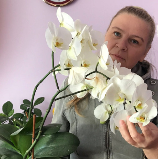 3 коварни грешки, които пречат на орхидеите да цъфтят през цялата година